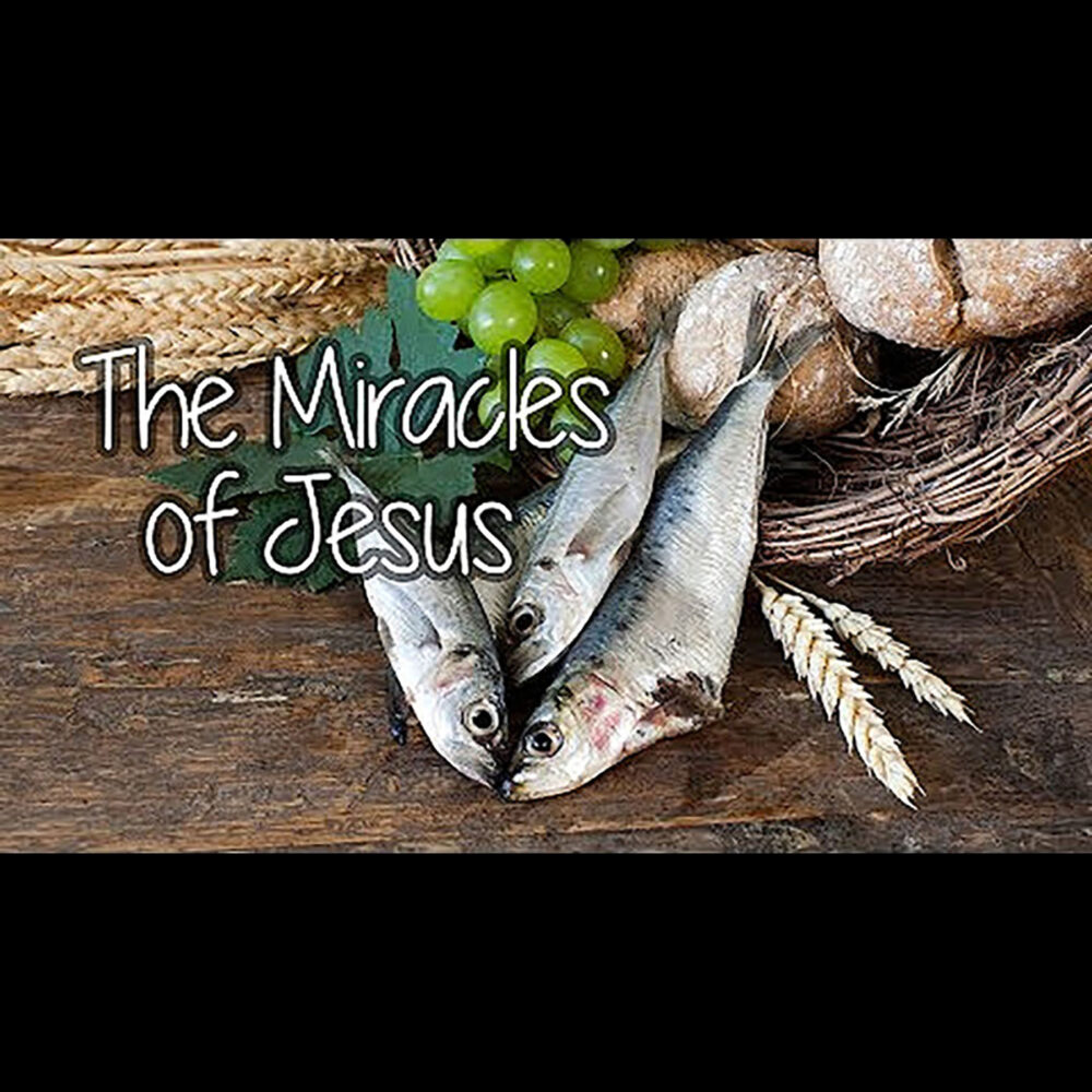 The Miracles of Jesus