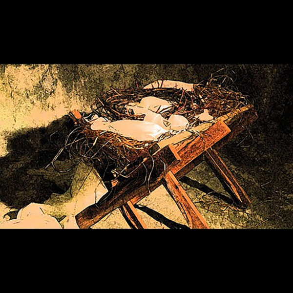 1. A Child Like No Other Image