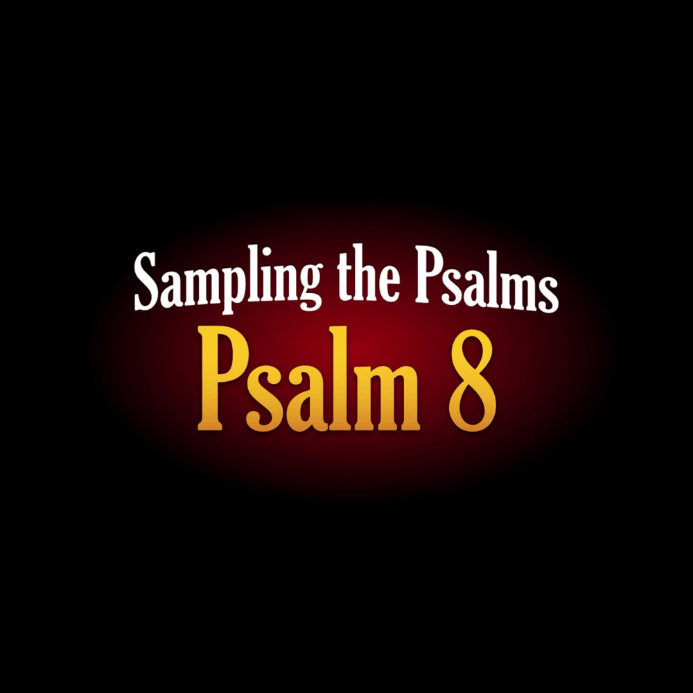 11. What Is Man? - Psalm 8 Image