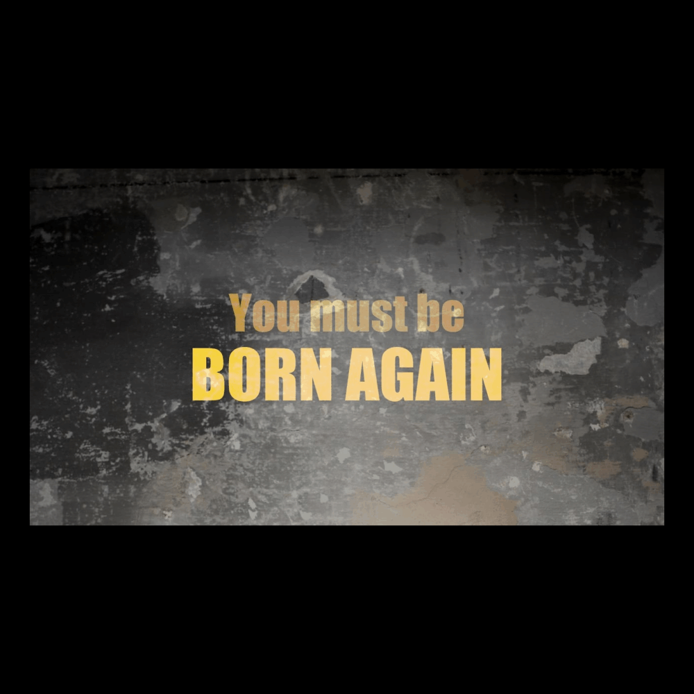 You Must Be Born Again Image